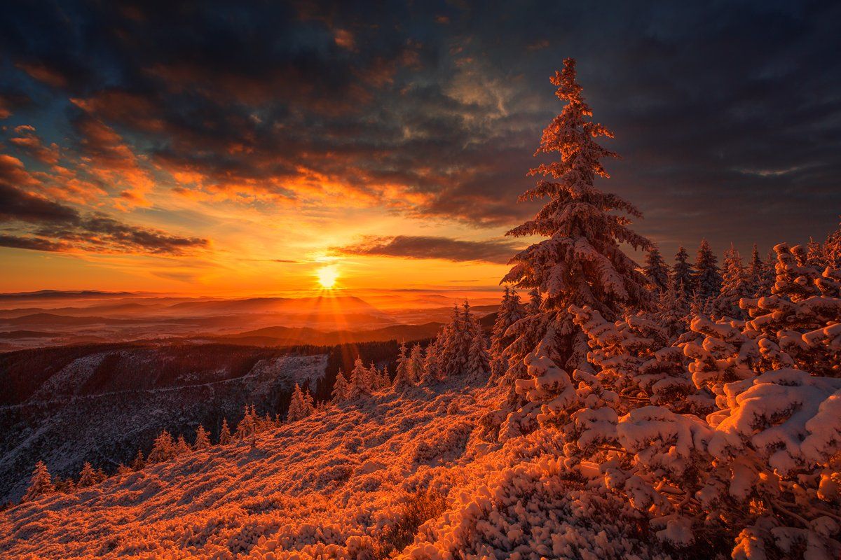landscape,canon,sunrise,winter, Iza i Darek Mitręga