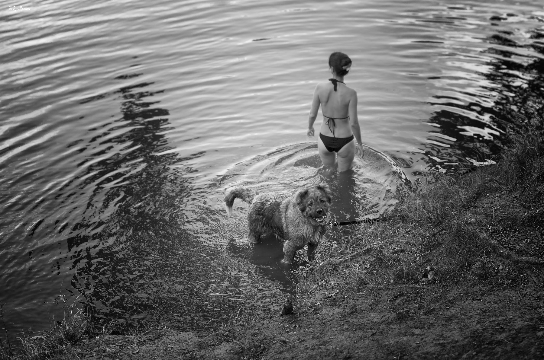 вода,собака,человек, Roma  Chitinskiy