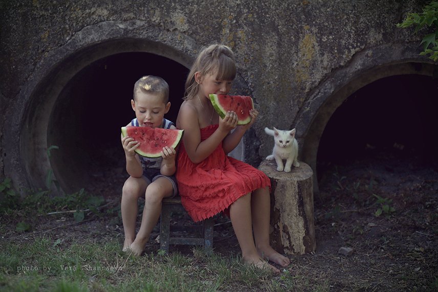 дети, лето, арбузы, котенок фотограф Вера Шамраева, Вера Шамраева
