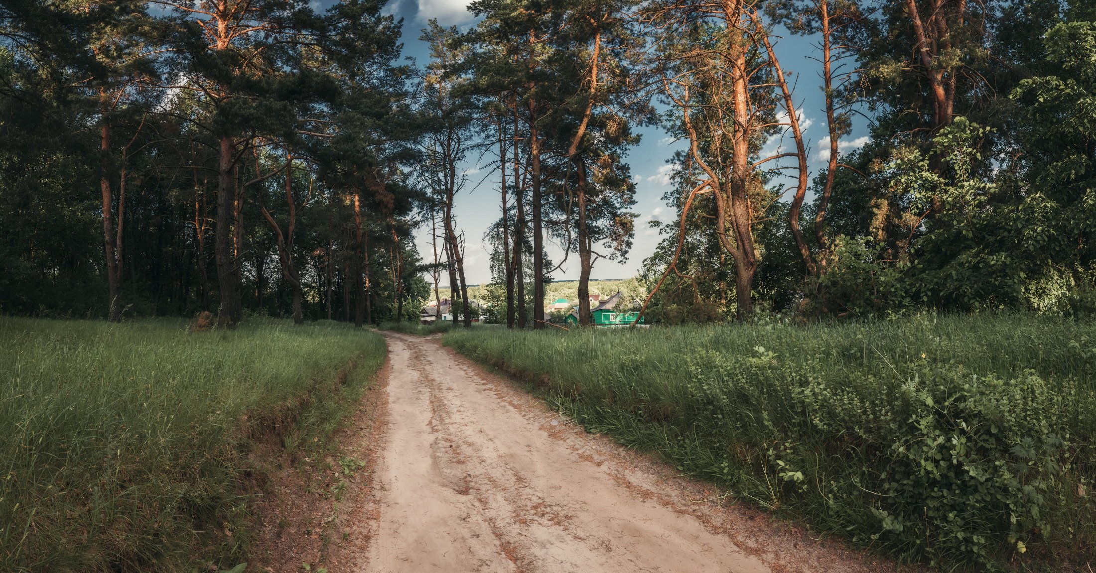 панорама, лето, лес, дорога, деревня, Андрей Кровлин