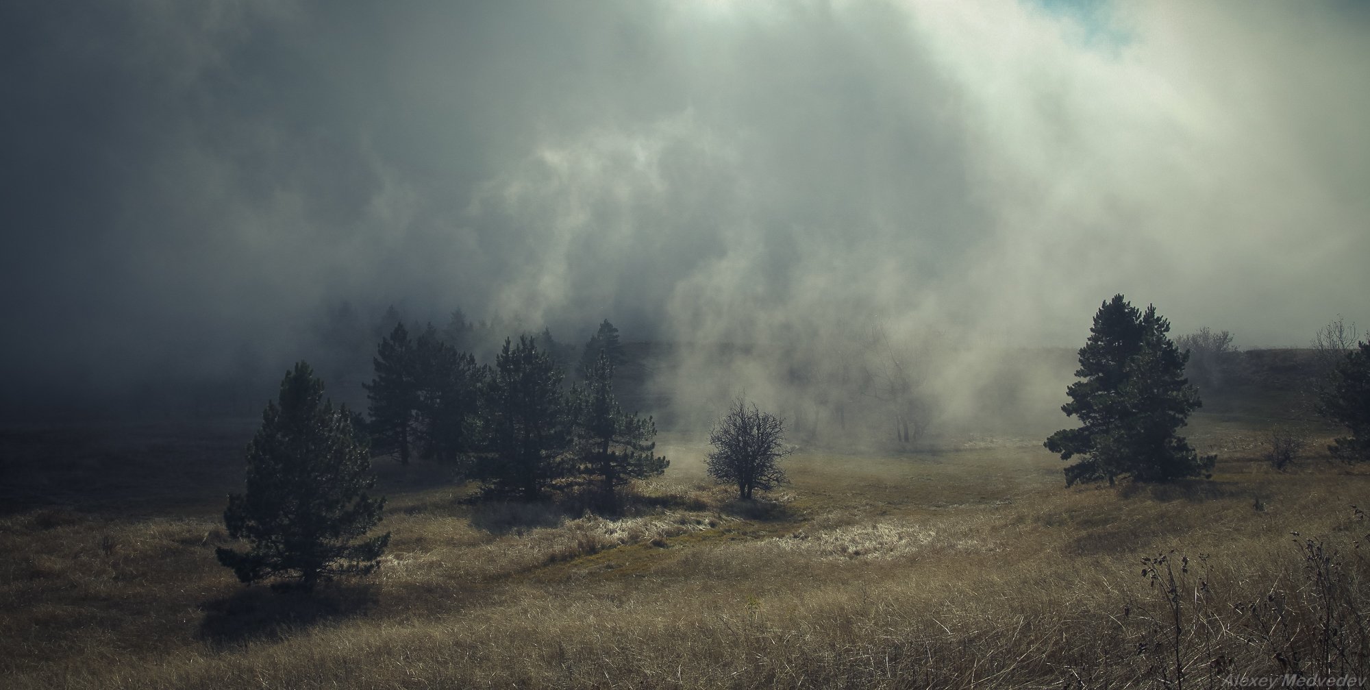 крым, горы, туман, яйла, Алексей Медведев