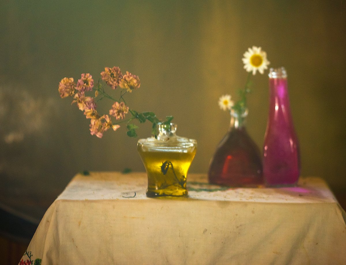 still life,photography,rural,impression,flowers,light, mustafa yagci