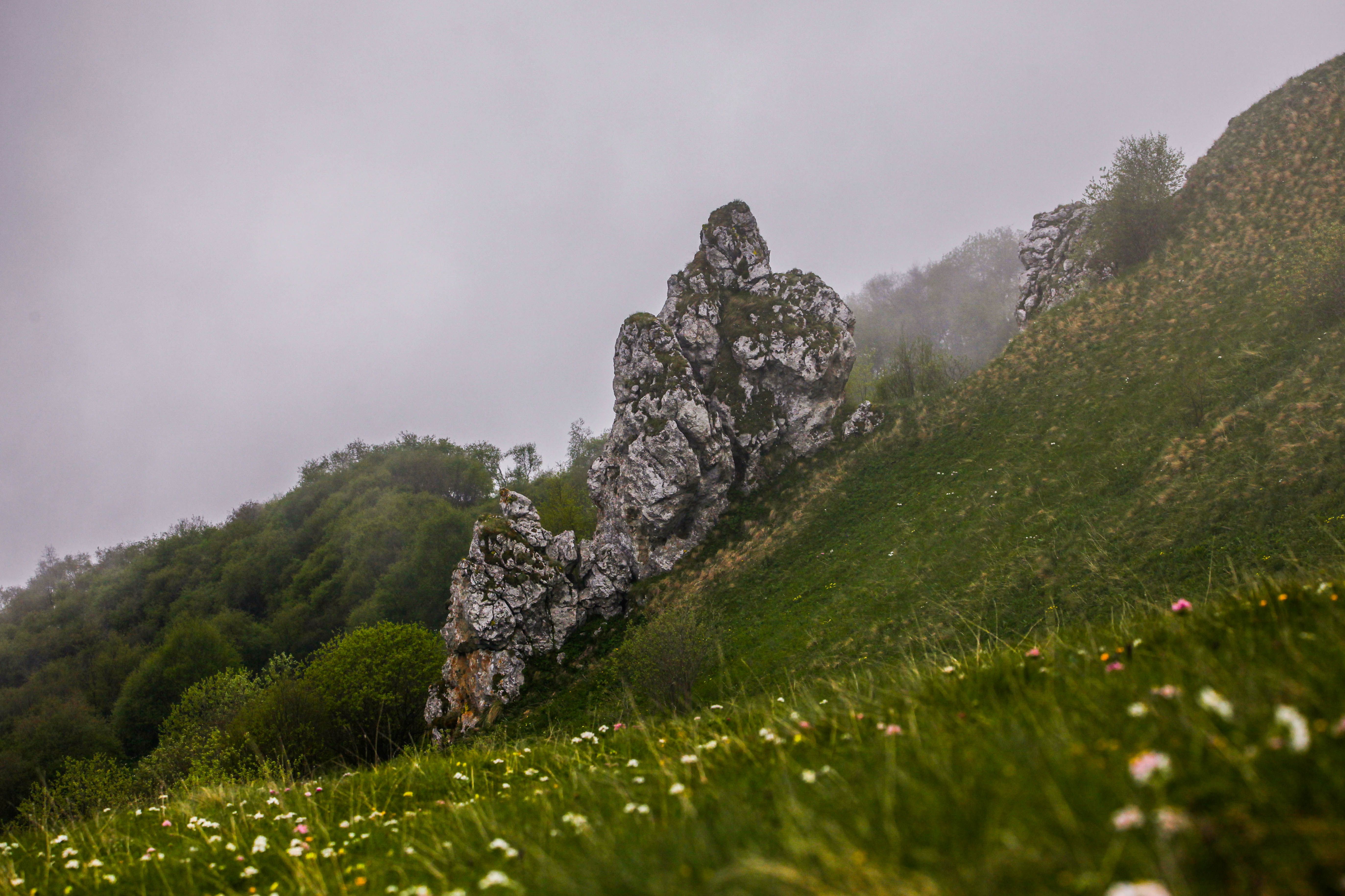 горы,туман,весна,пейзаж, Marat Magov