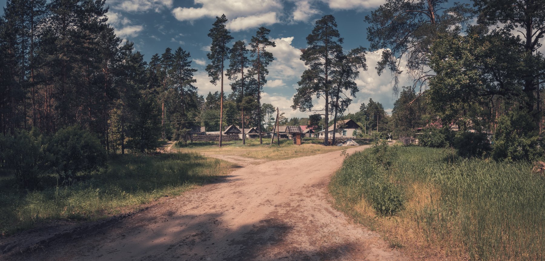 панорама, лето, лес, деревня, Андрей Кровлин