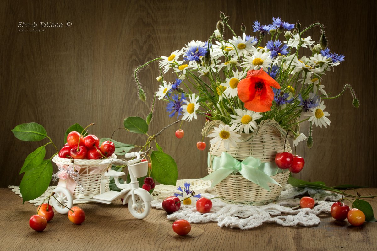 натюрморт, цветы, ромашки, васильки, маки, черешня, ягоды, Шруб (Беляева) Татьяна