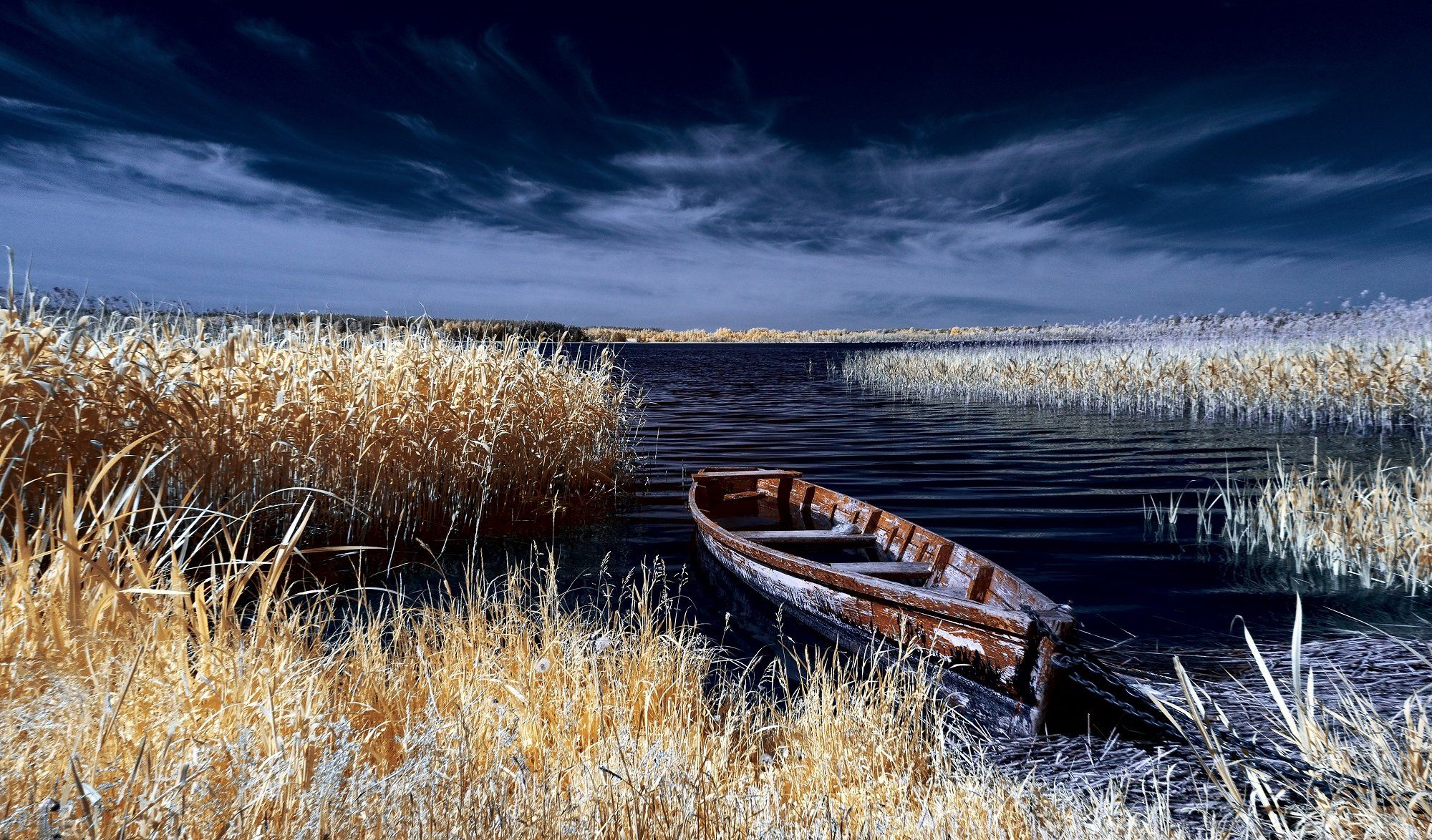 infrared,ик-фото,инфракрасное фото,инфракрасная фотография,пейзаж,природа,беларусь,лето, Sixten ( Сергей )