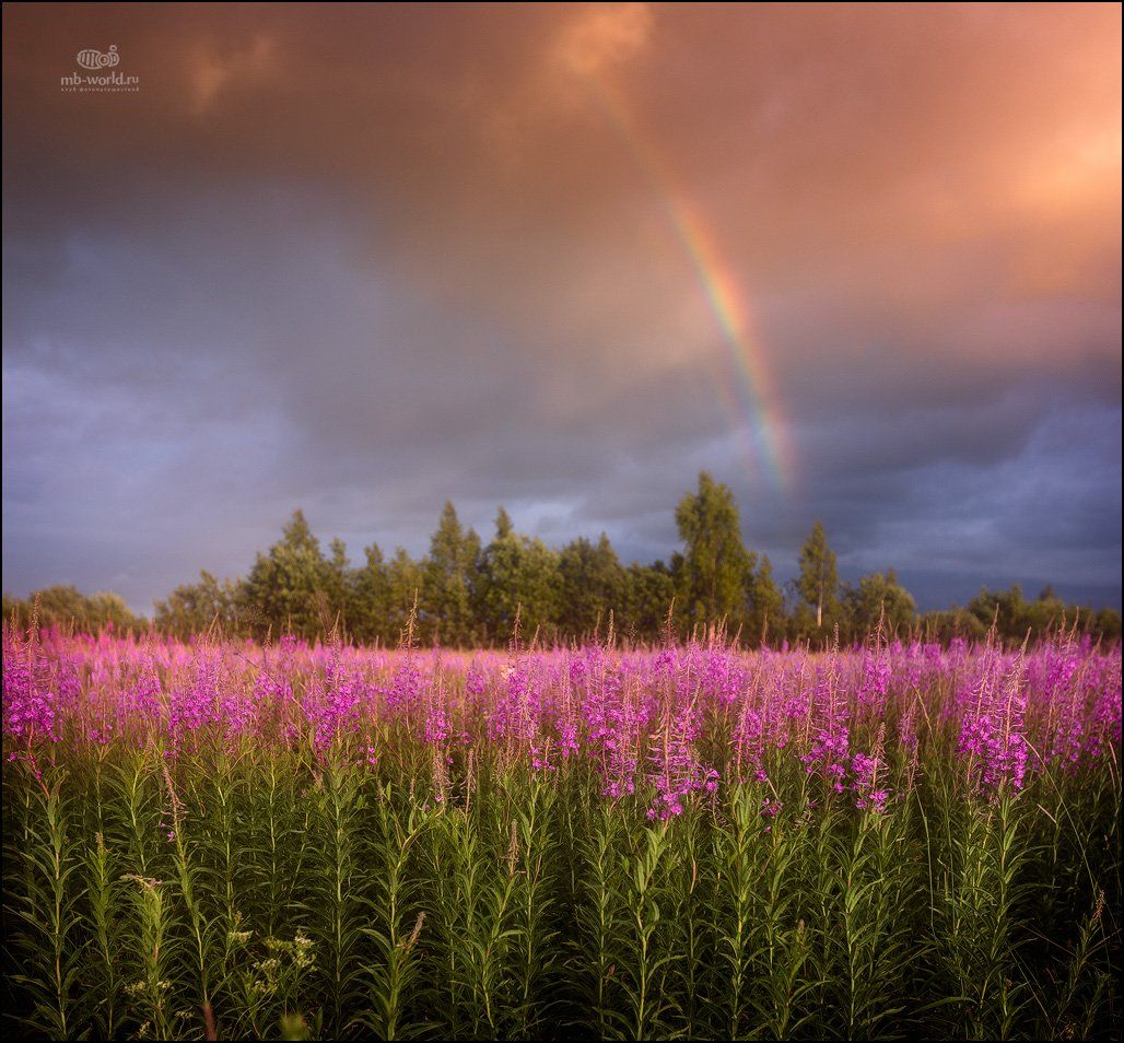 Россия, закат, радуга, пейзаж, Mikhail vorobyev