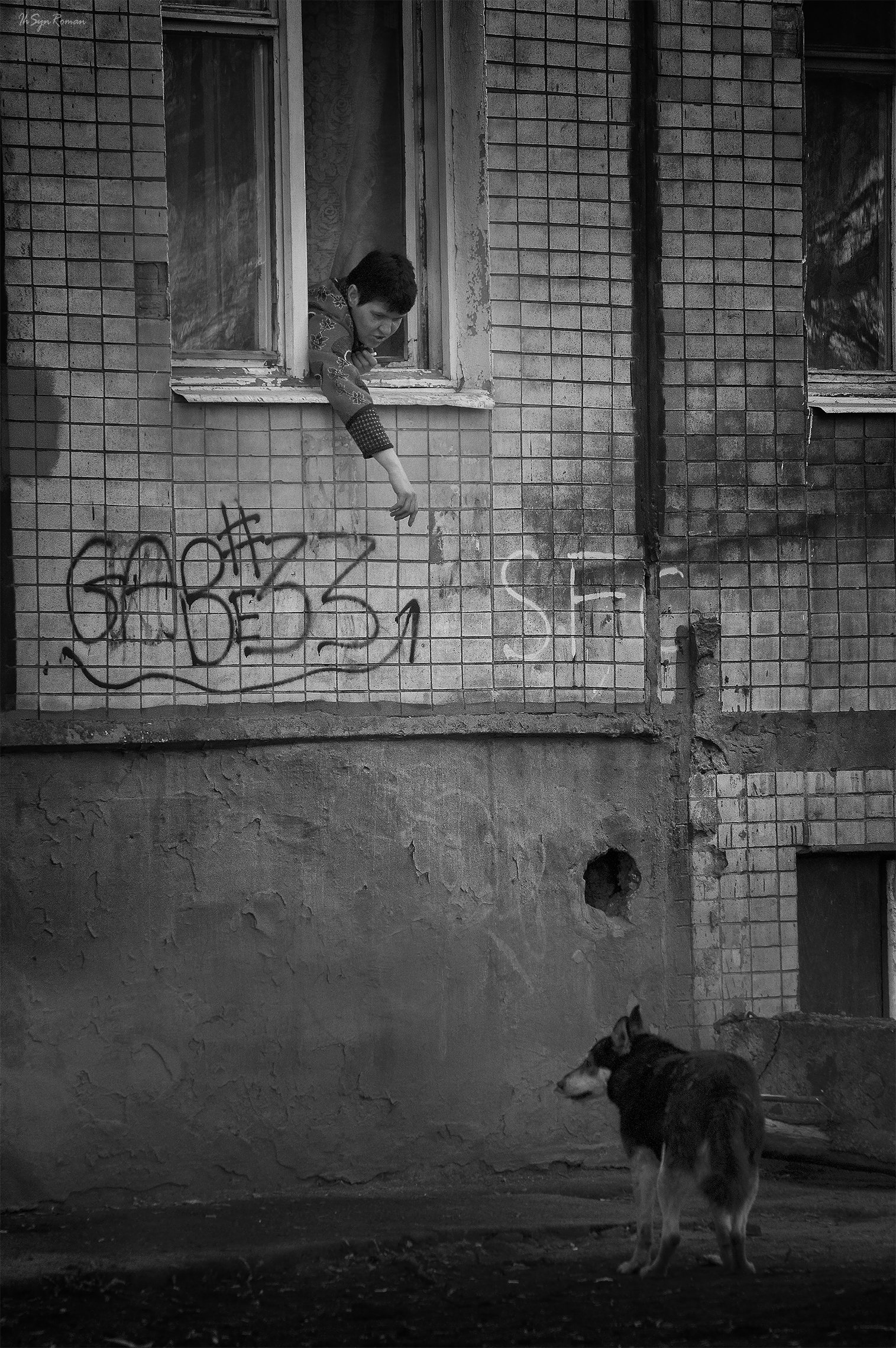 окно, женщина, собака, Roma  Chitinskiy
