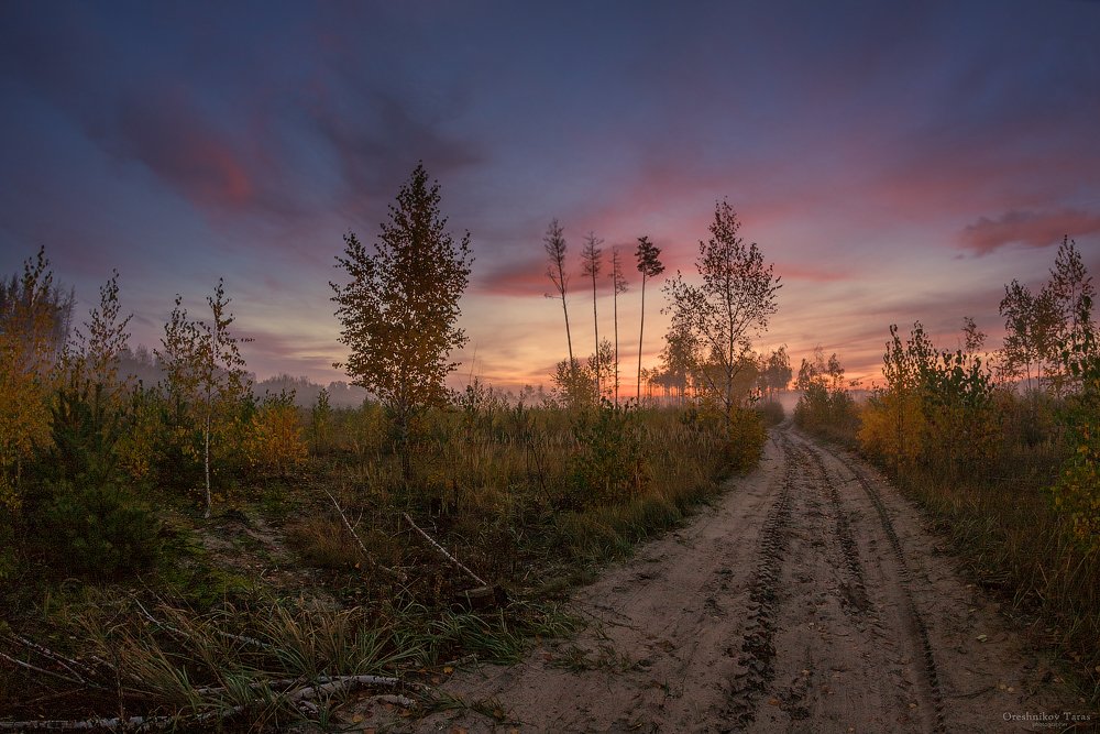 пейзаж,природа,рассвет,дорога,лес,осень,утро,небо,заря, Taras