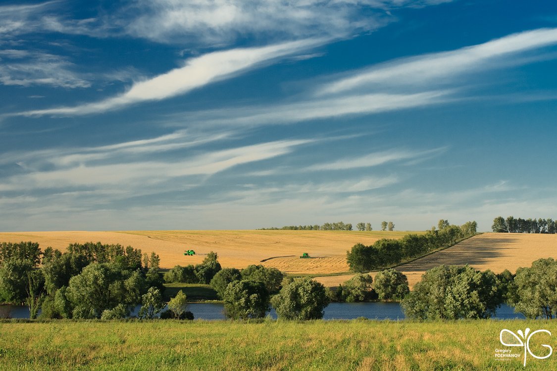 Природа Белгородской области поля