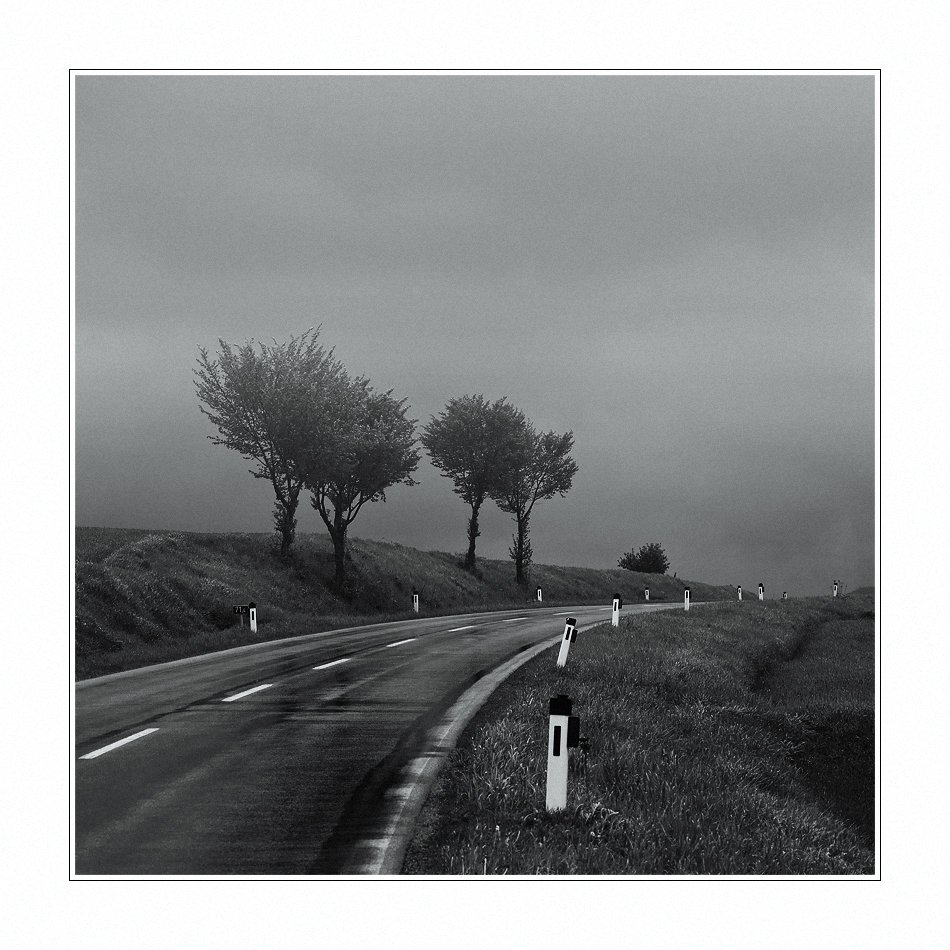 дорога, туман, пейзаж, деревья, Oleg Dmitriev