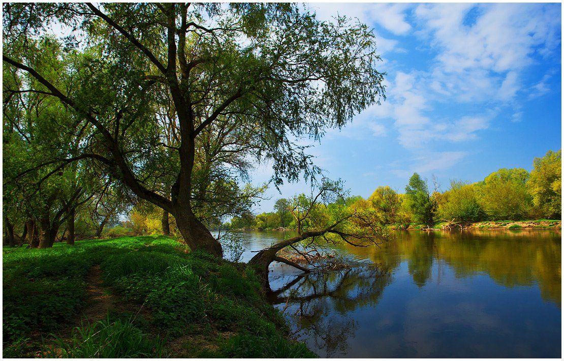 деревья, река, небо, пейзаж, Oleg Dmitriev