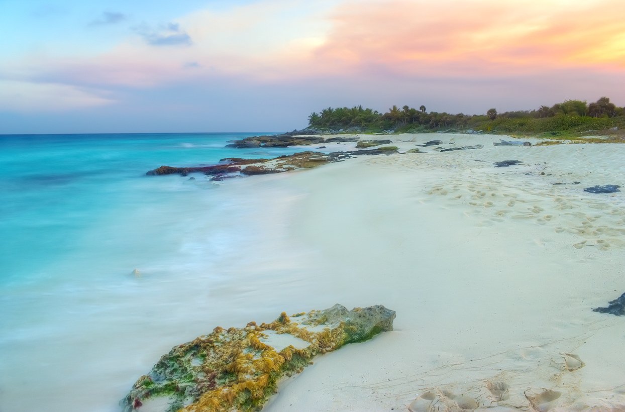 sea, , beach, sunset, sund, jungle, Michael Latman