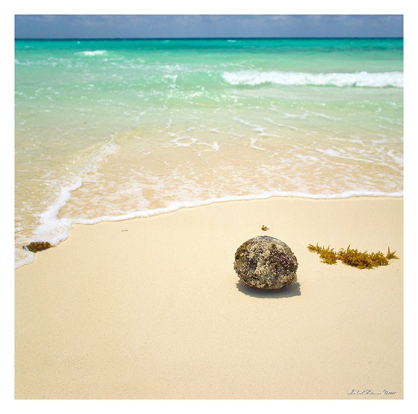 sea, , beach, , sund, coconut, Michael Latman
