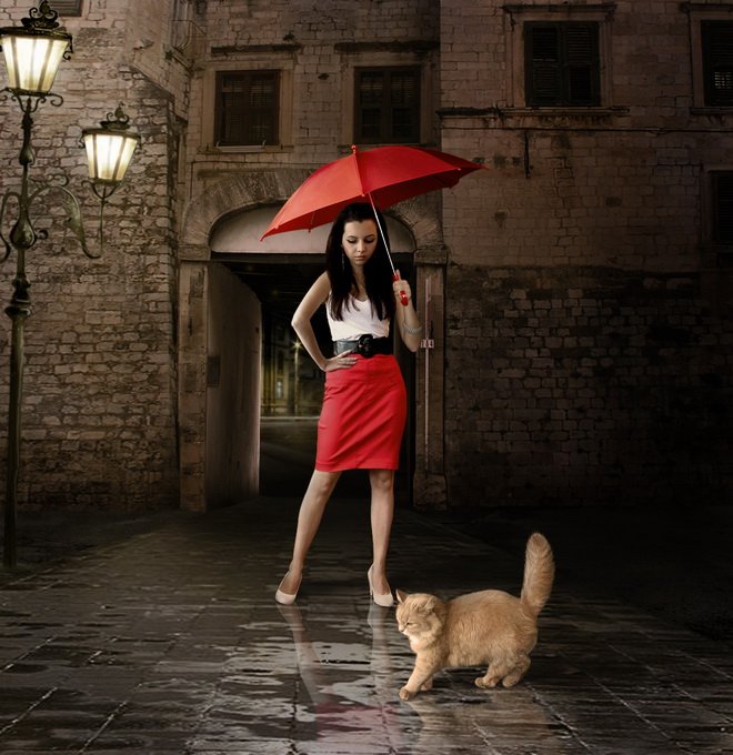 кошка, зонт, Iridi (Ирина Кузнецова)