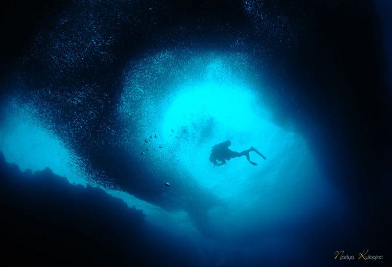 philippines, underwater, photography, sardines, Nadya Kulagina