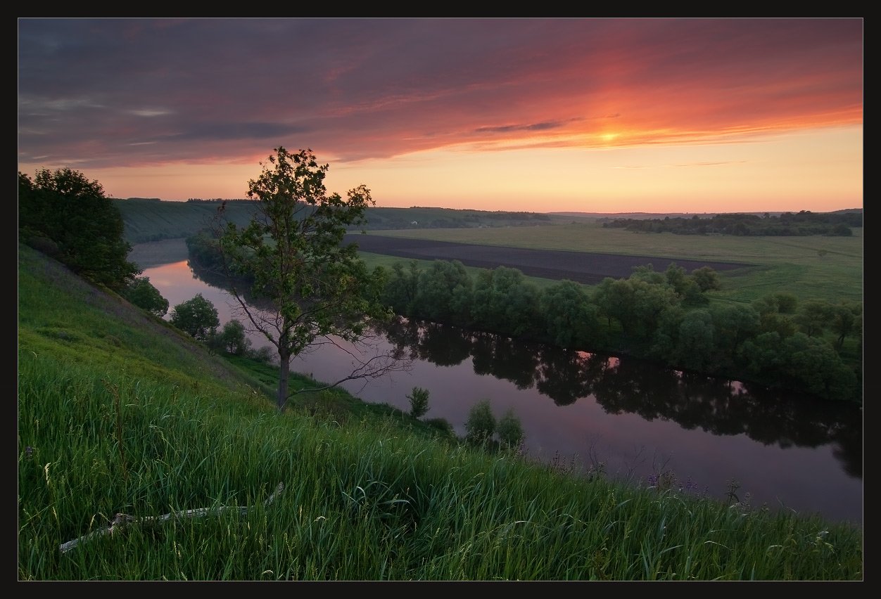 ишутинское, красивая меча, Андрей Уляшев (Mercand)