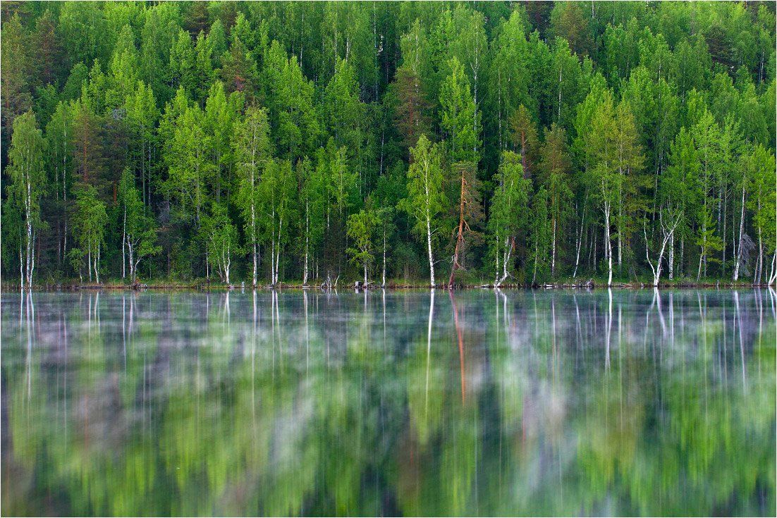 лес, озеро, туман, ночь, север, Илья Бармин