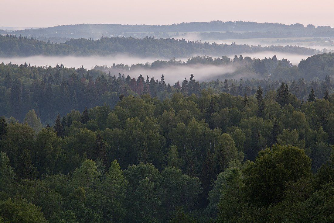 , Олег Козлов