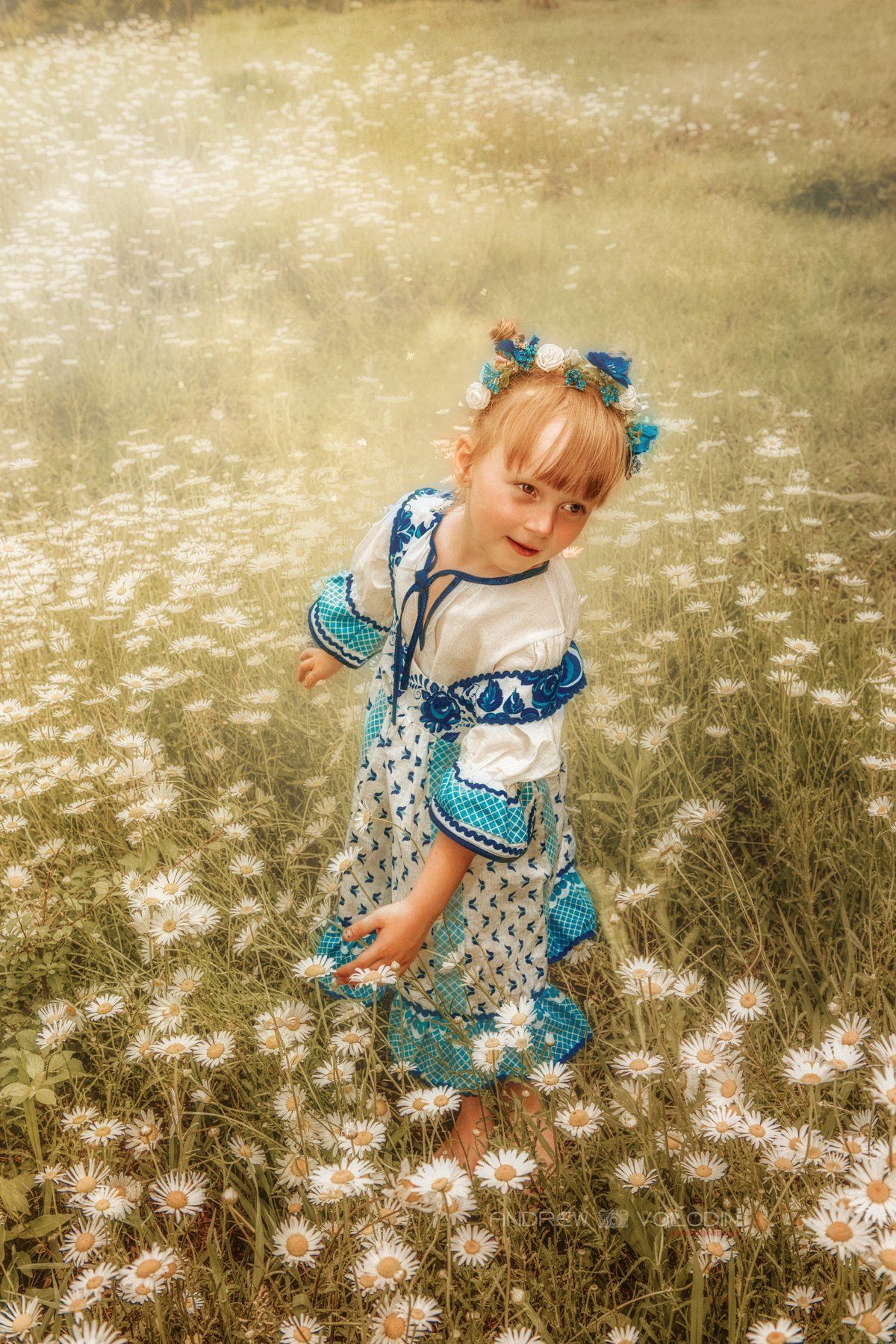 девочка ребенок платье славянка ромашки поле лето солнце, Андрей Володин