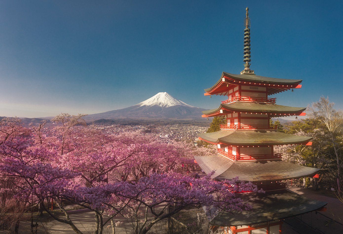 Япония, Фудзи, сакура, пагода, пейзаж, Mikhail vorobyev