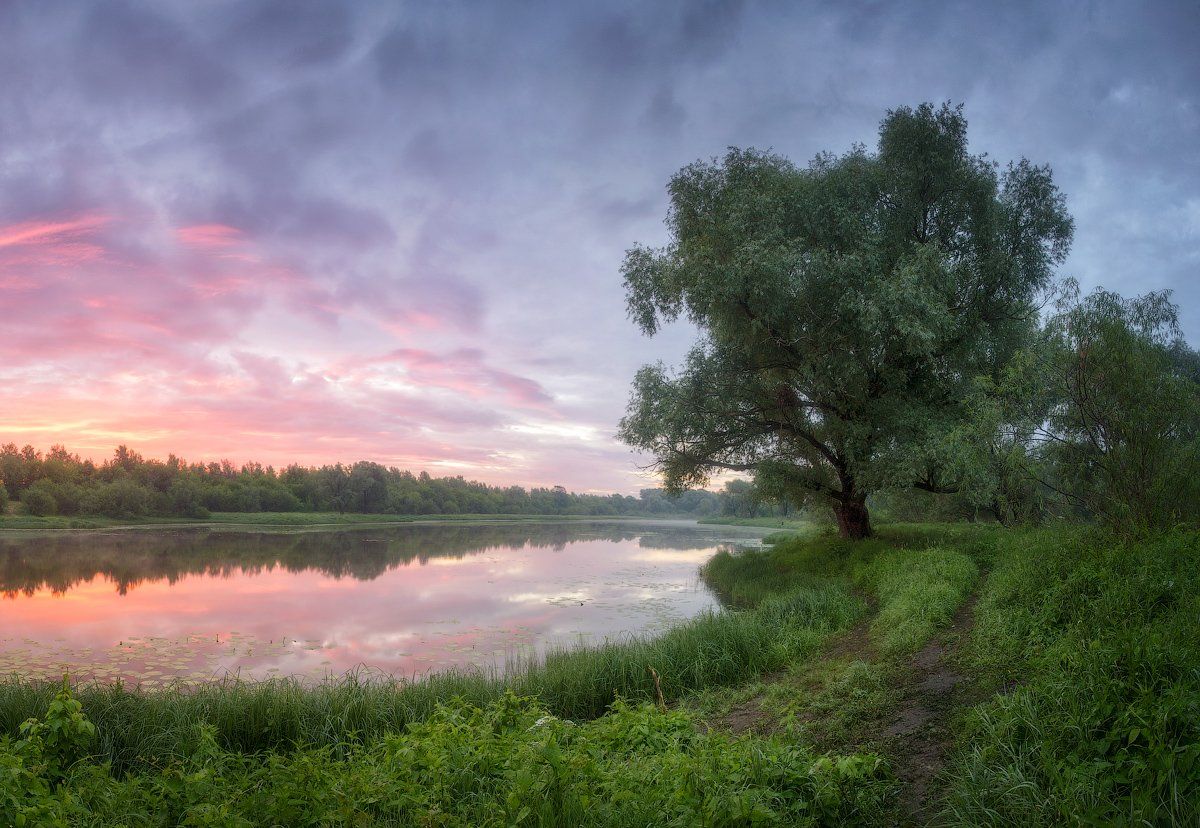 природа утро лето, Михаил Корнилов
