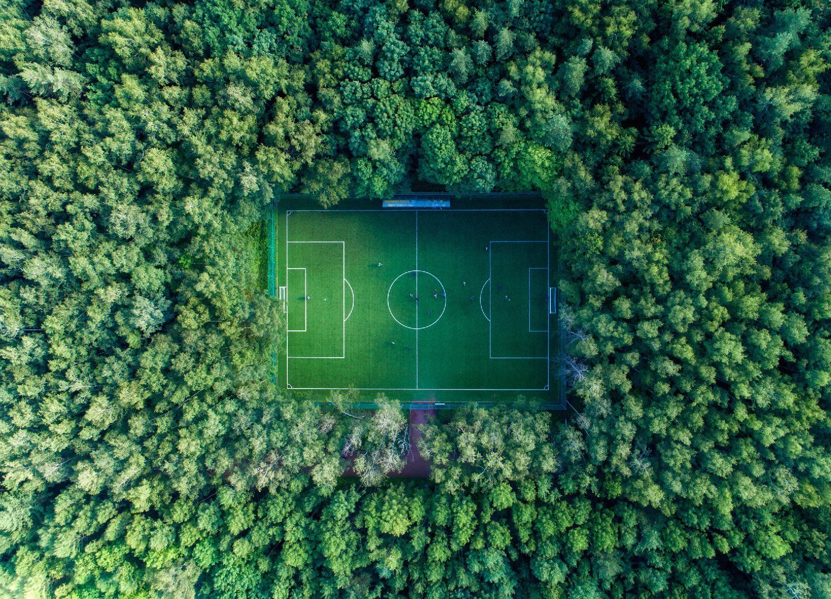 football, forest, nature, Сергей Луканкин