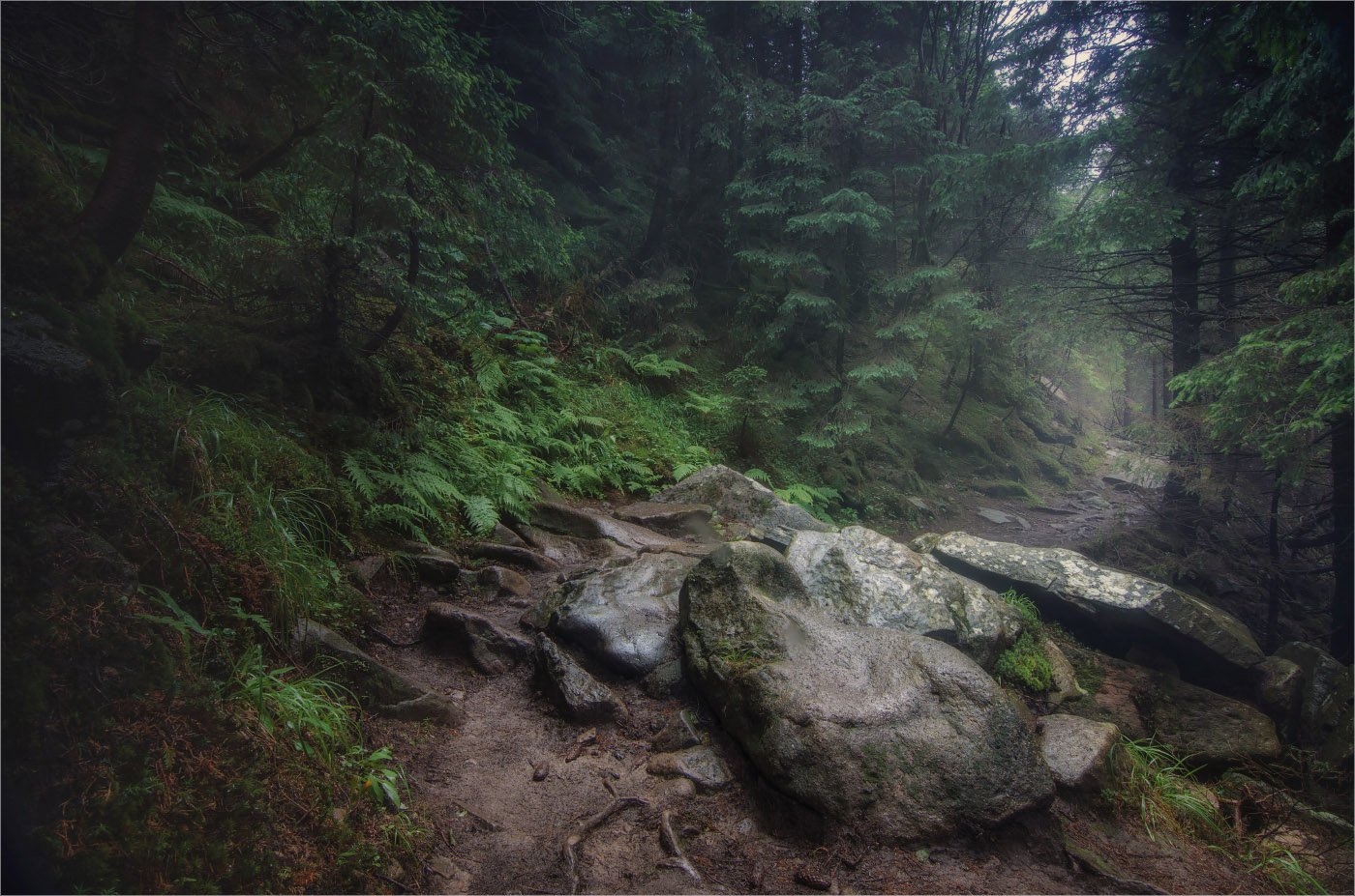 карпаты лес охрана, Игорь Марценюк
