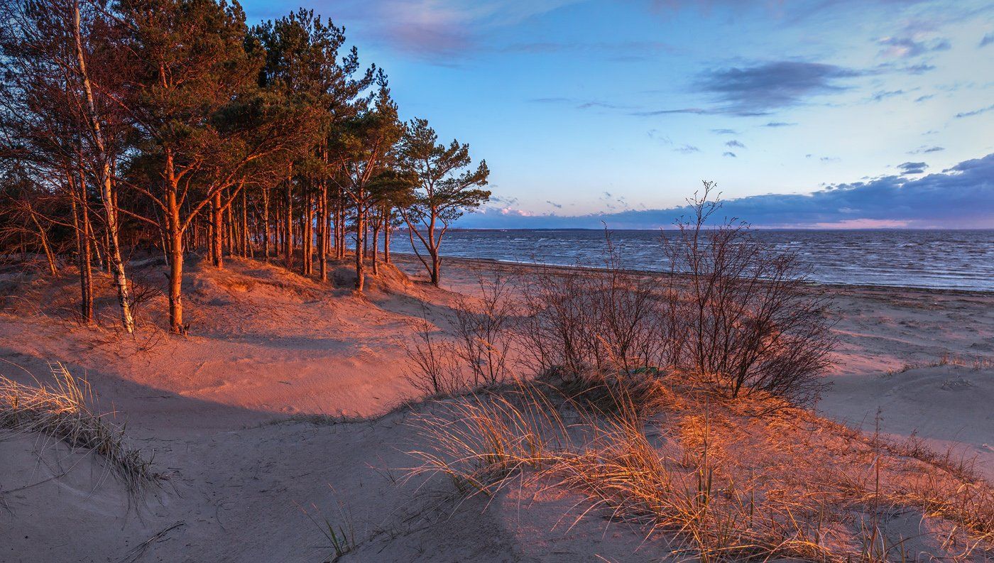 ленинградская область, ленобласть, сосновый бор, пляж, закат, Арсений Кашкаров