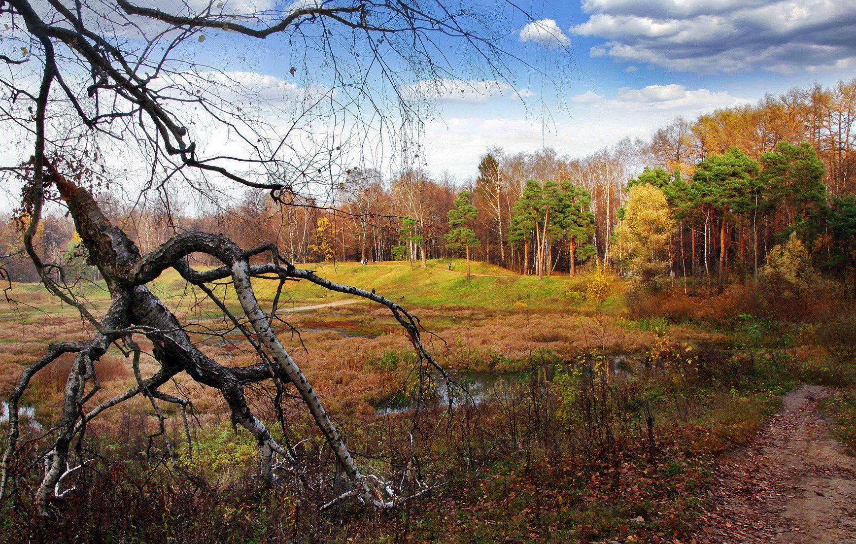 осень,деревья,парк,день,пейзаж, Marat Magov