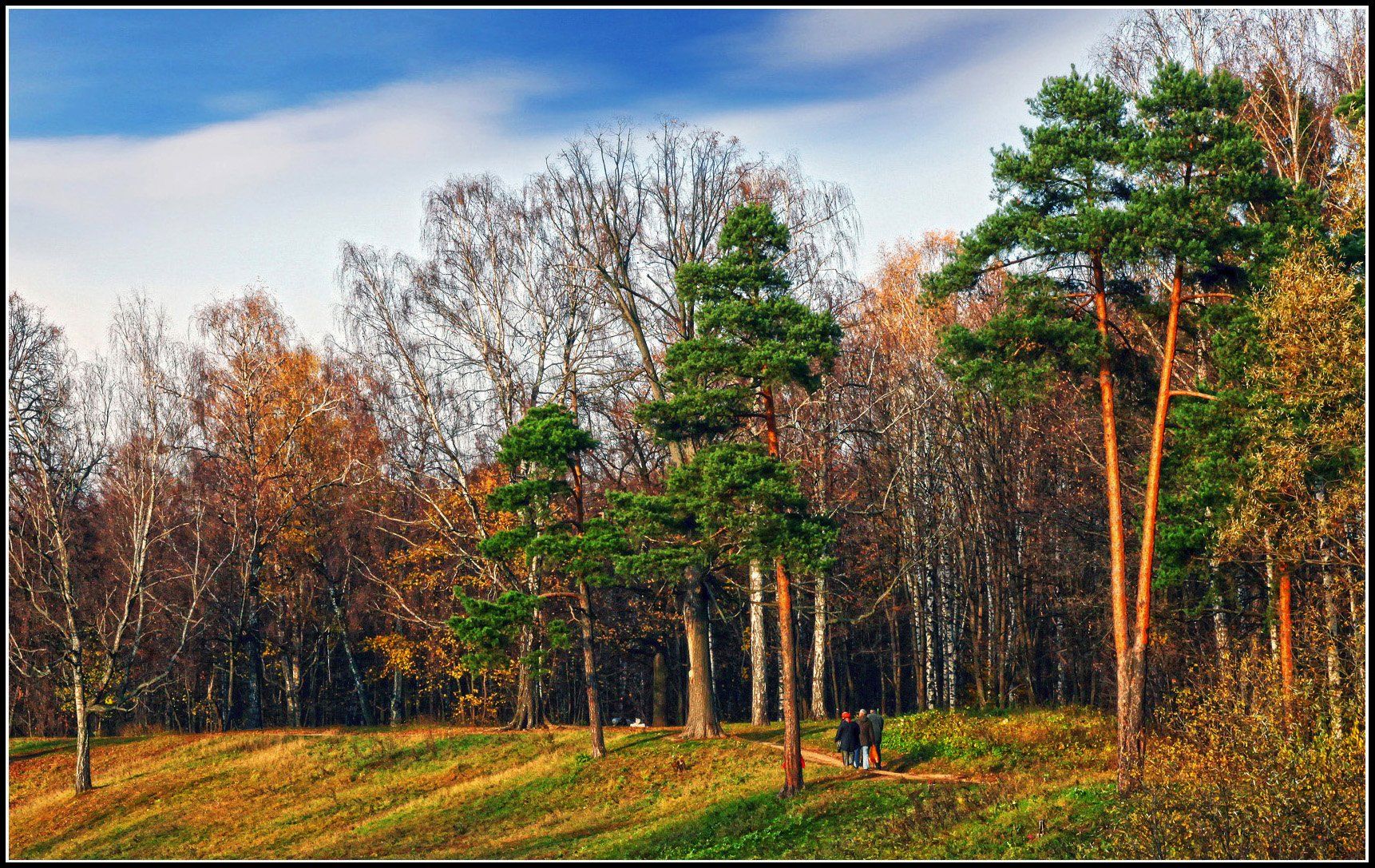 осень,деревья,парк,день,пейзаж, Marat Magov