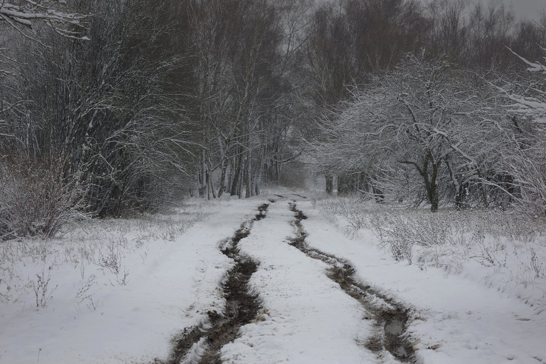 зима лес туман дорога, Александр Жарников