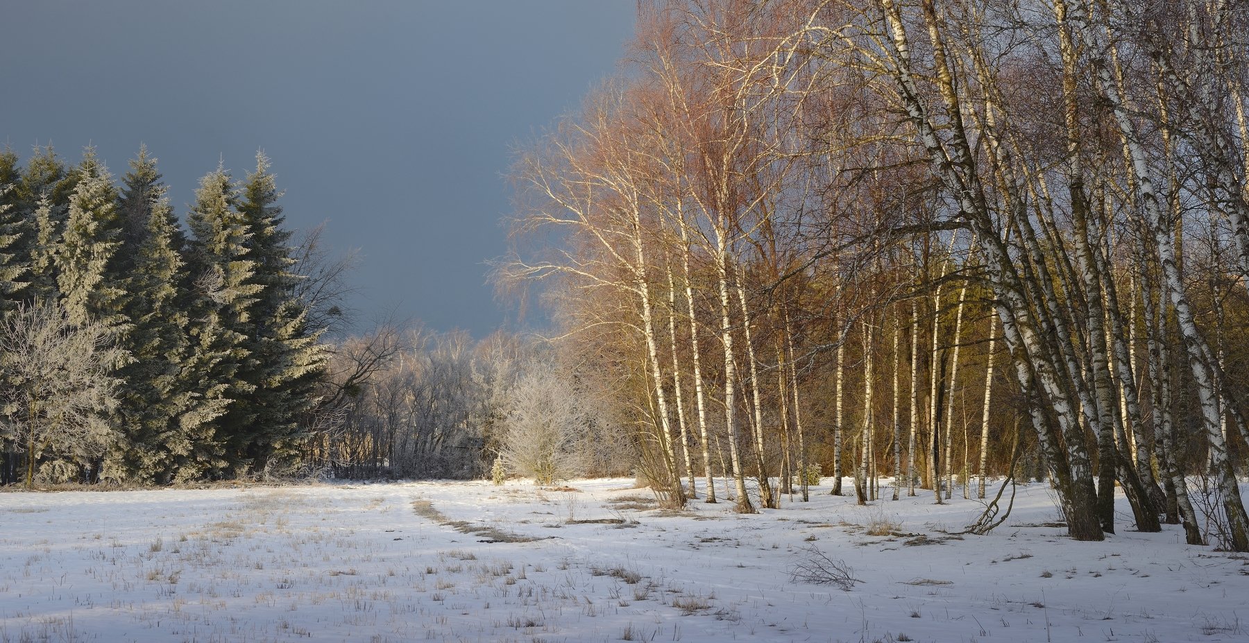 зима лес утро рассвет, Александр Жарников
