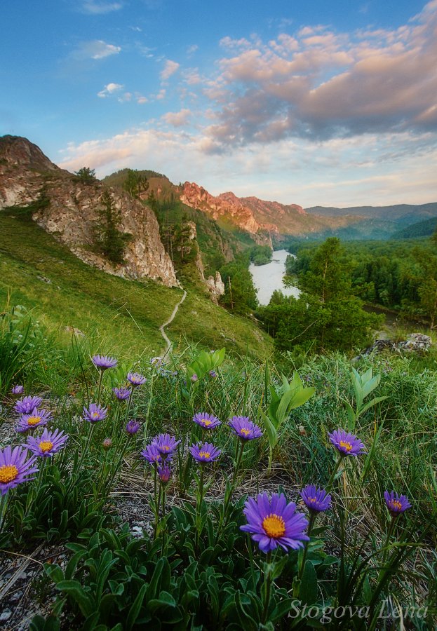 хакасия, Лена Стогова