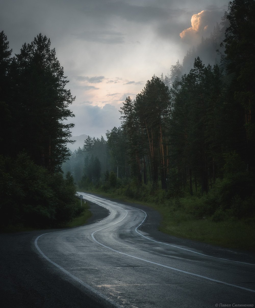 алтай, пейзаж, вечер, дорога, лес, после дождя, Павел Силиненко