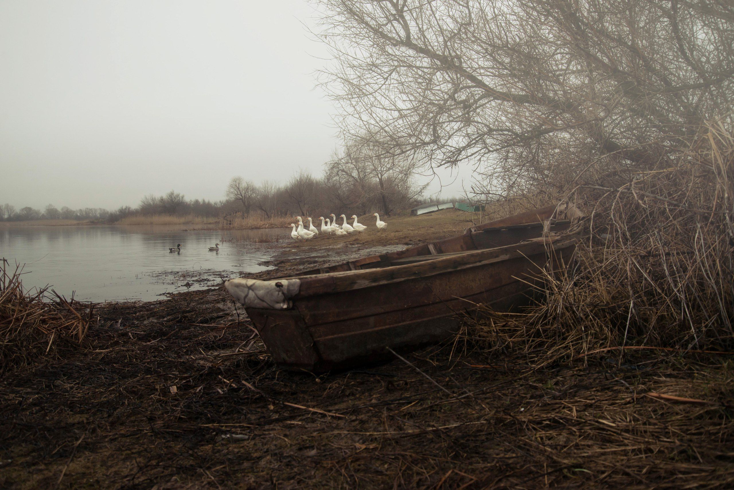 гуси осень лодка туман дождь природа пейзаж autumn boat rain nature landscape, Егор Бугримов