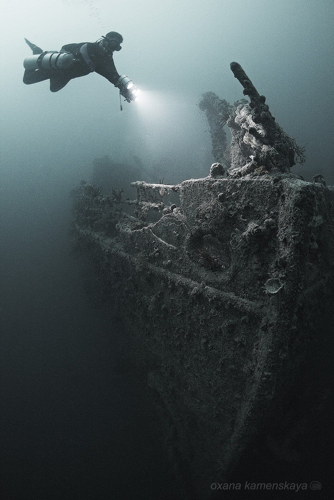 underwater wreck rosalie moller diver light, Оксана Каменская