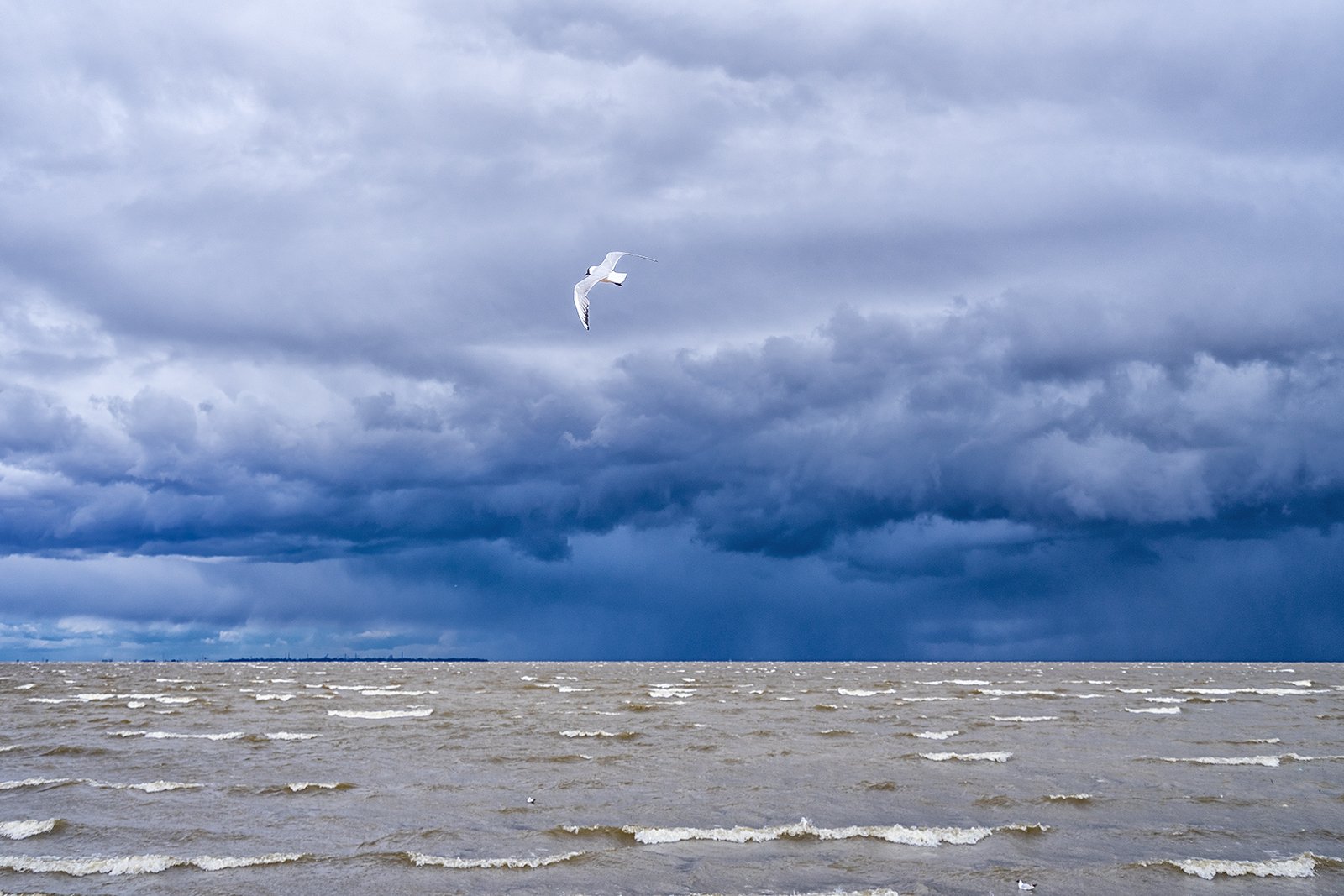 море чайка небо шторм пейзаж, Нина Богатырева