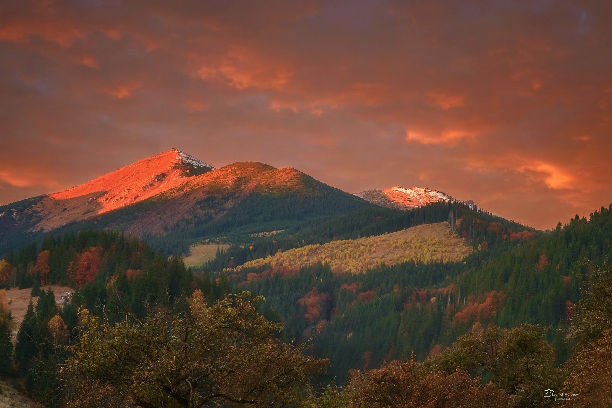 карпаты., украина., зима., пейзаж., снег., карпатский., гора., красивый., небо., природа., дерево., холод., мороз., путешествия., белый., сезон., ель., лес., фон., снежный., горы., зимний., утро., отдых., солнце., лед., изморозь., иней., сцена., синий., с, Леонид Морозов