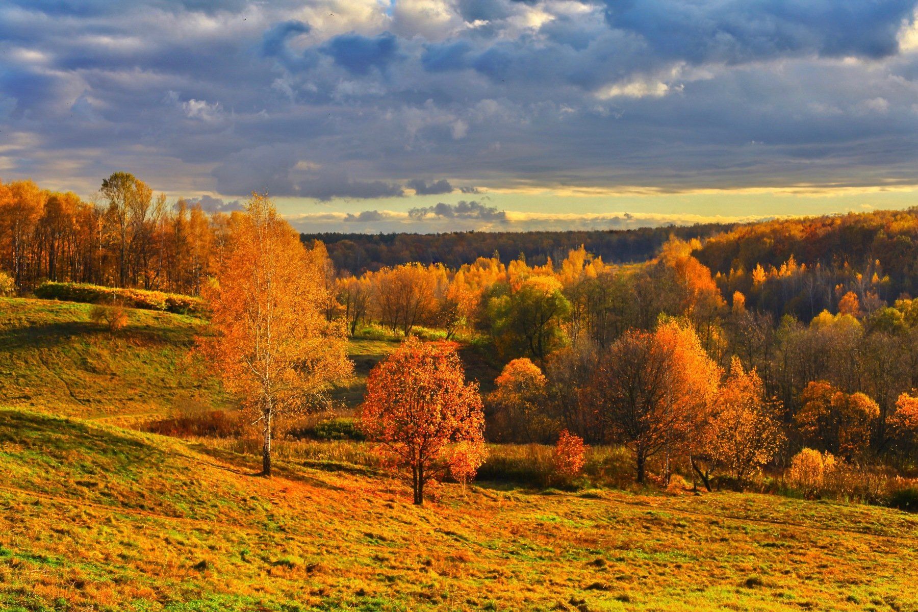 золотая осень, природа, gold autumn, гора, Julia Kaissa
