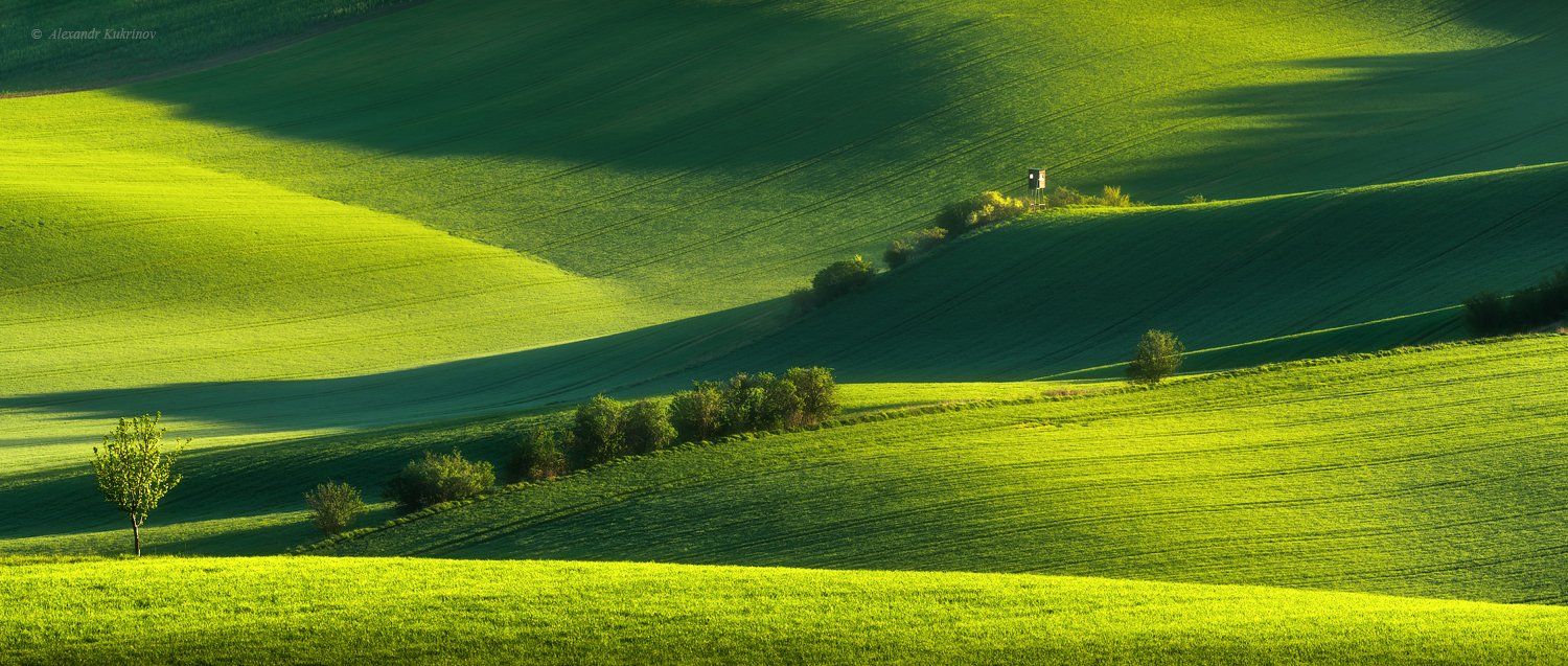 пейзаж, моравия, весна, Александр Кукринов