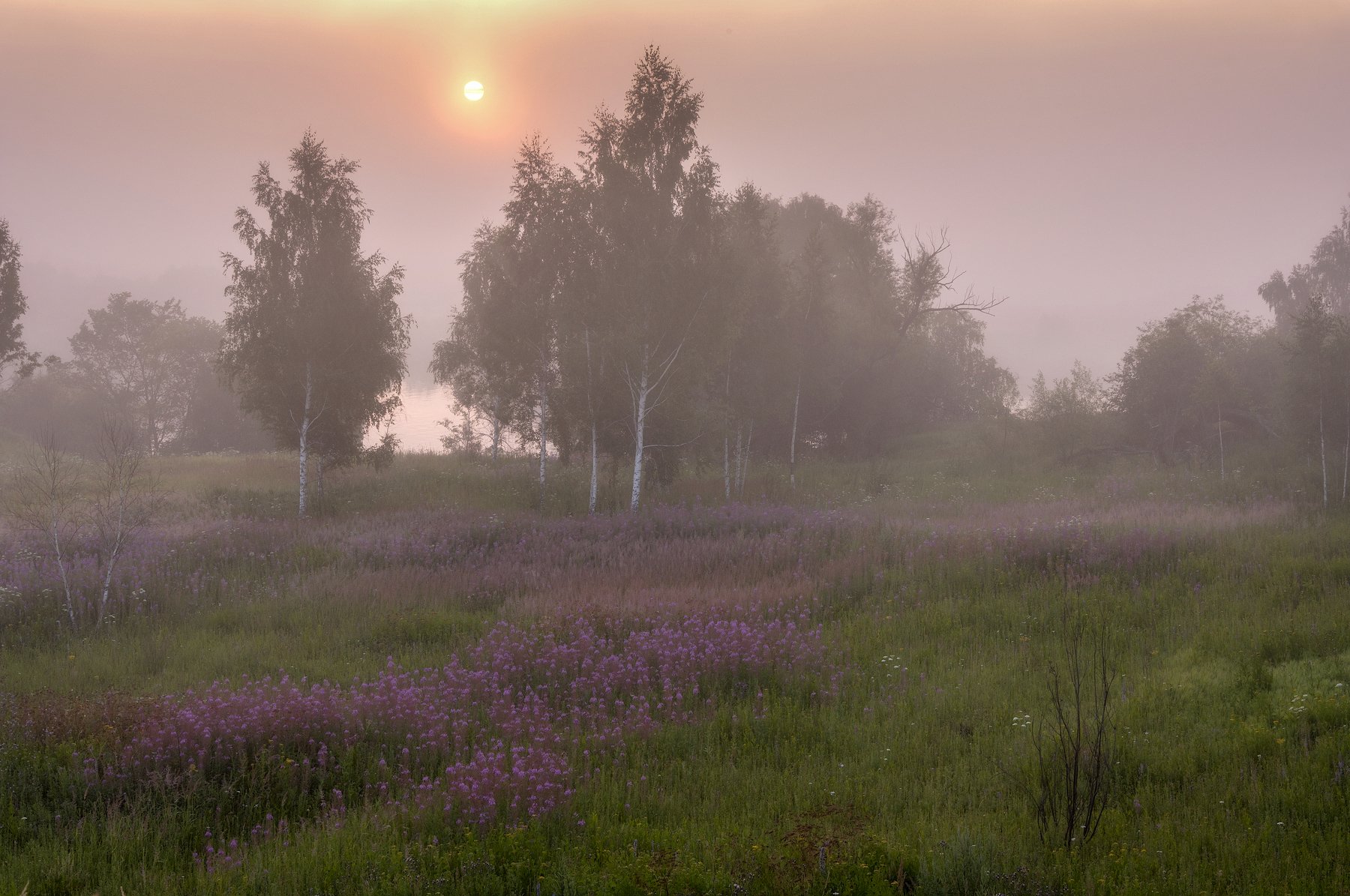 Лето,природа,пейзаж,утро,восход,река,туман, Павел Ныриков