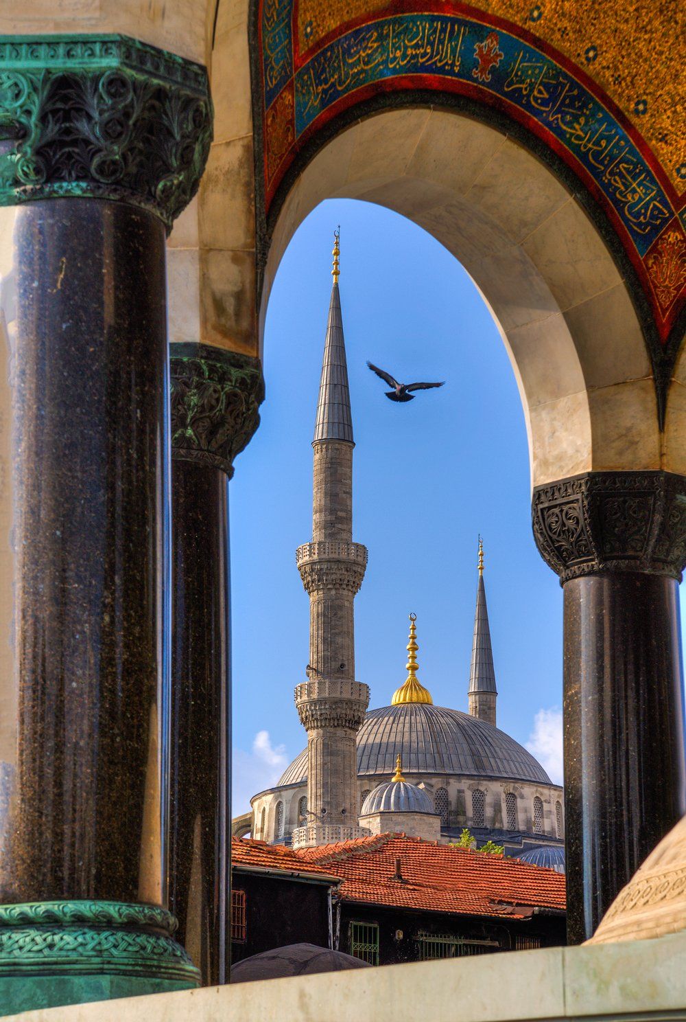 Стамбул, Турция, Немецкий фонтан, Голубая мечеть, птица, минарет, Денис Свечников