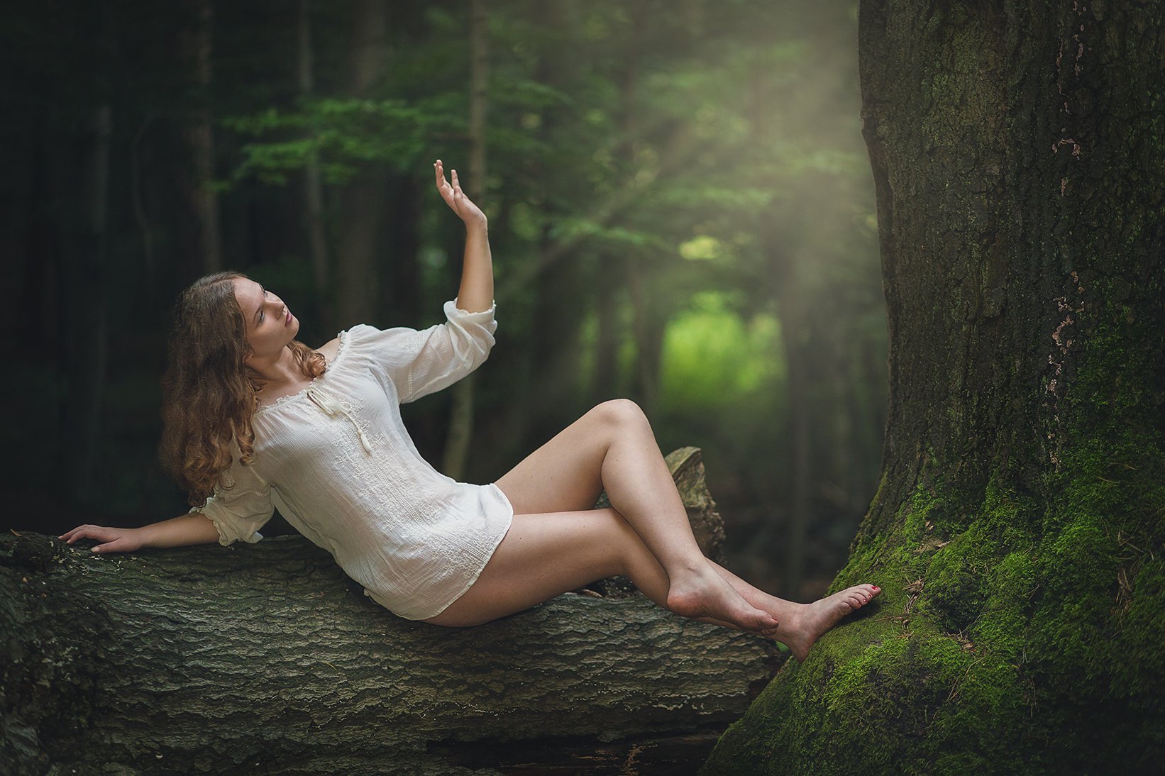 forest, girl, wood, tree, magic, fairy, fairytail, joung, light, , Patrycja Towarek