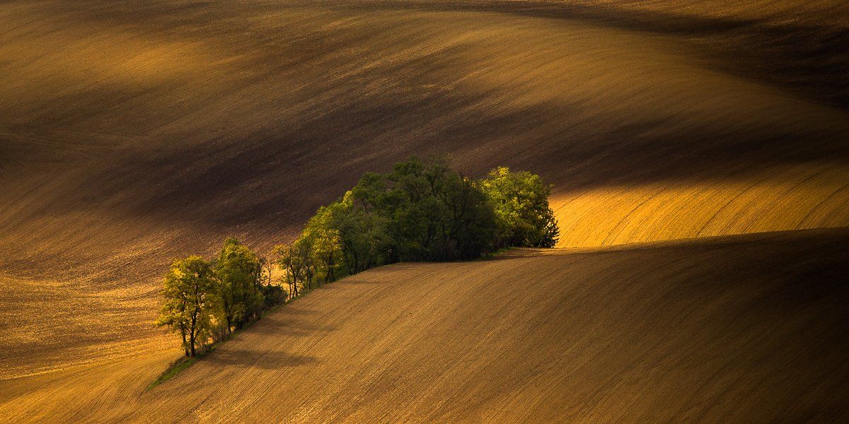 hills, trees,autumn,light, Marek Biegalski