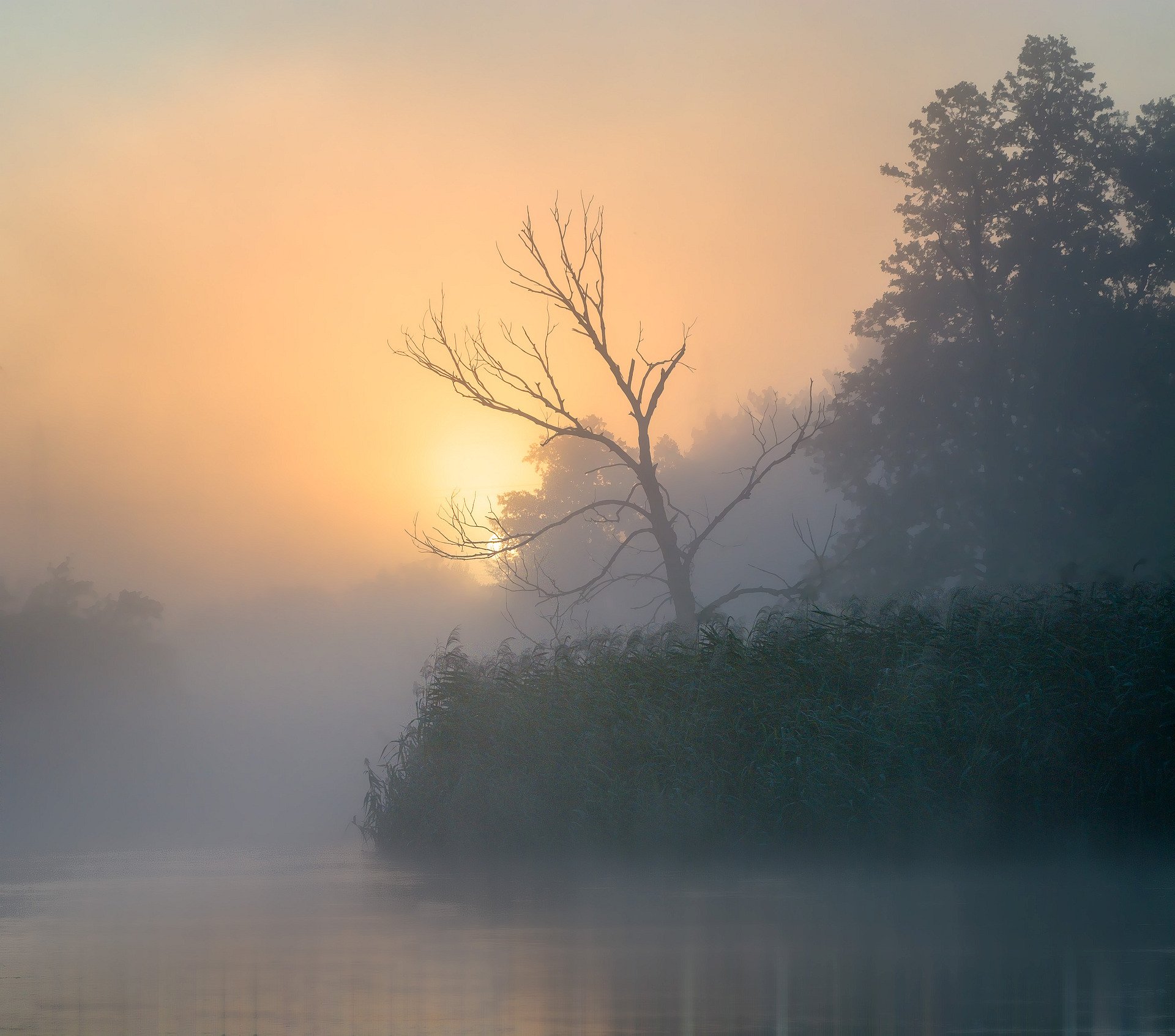 awakening,fog,sun,tree,water,river,gwda,nature,landscape,sky,mist,summer, , Krzysztof Tollas