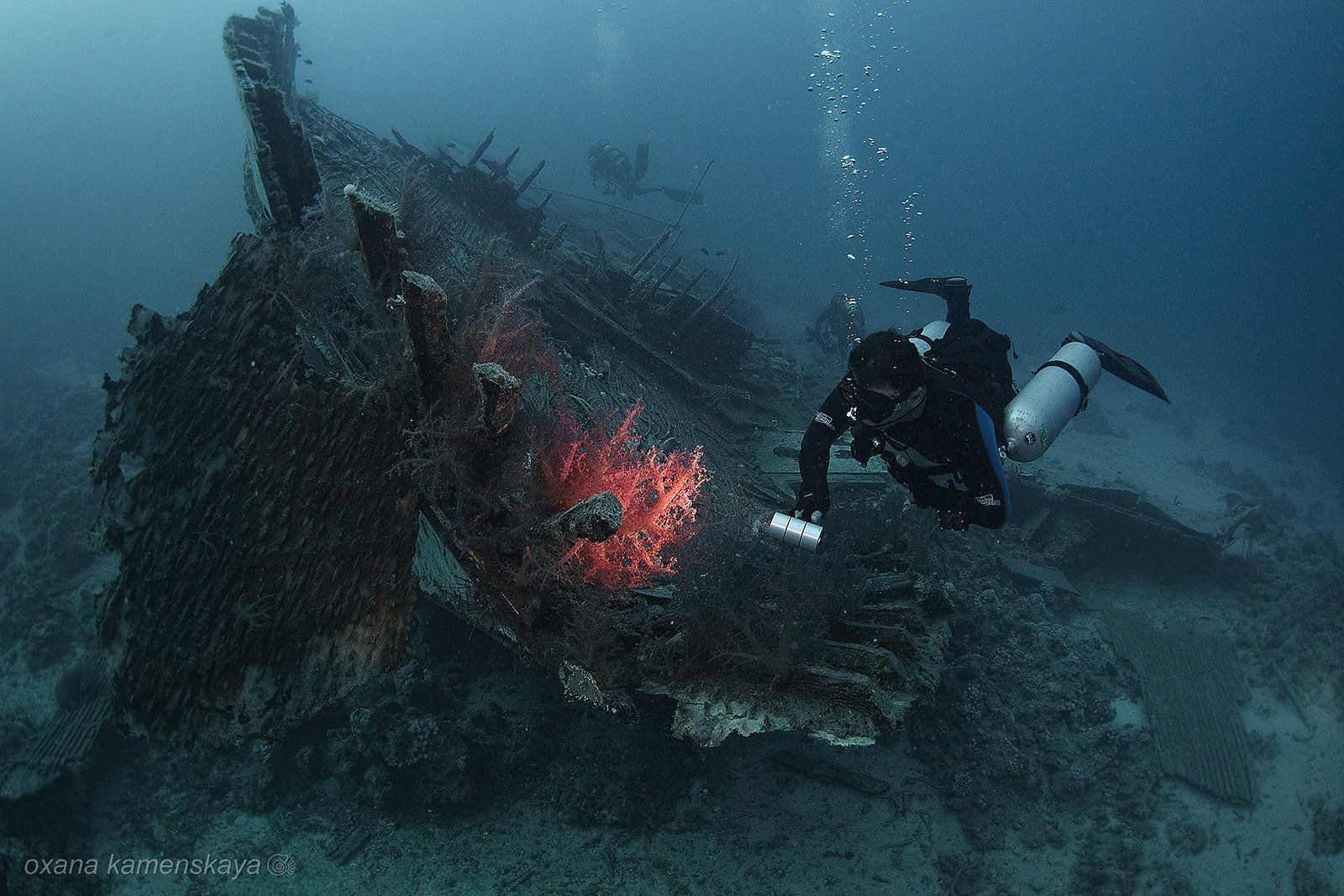 Emperor Fraser wreck corals, Оксана Каменская