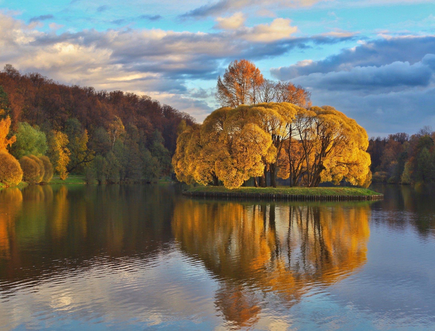 золотая осень, природа, gold autumn, пруд, царицыно, москва, дерево, отражение, reflection, небо, sky, облака, landscape, Julia Kaissa