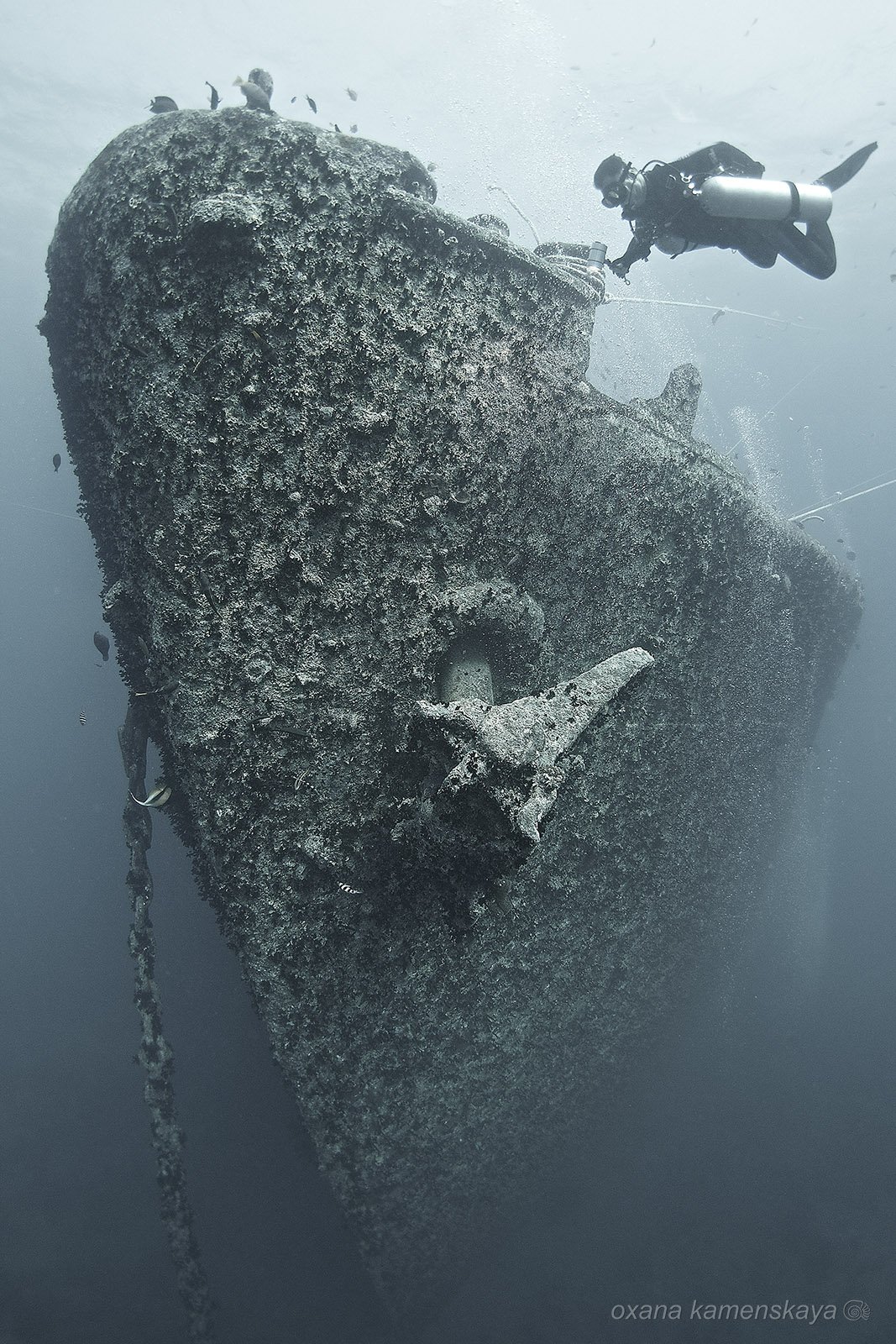 wreck thistlegorm underwater ship bow, Оксана Каменская