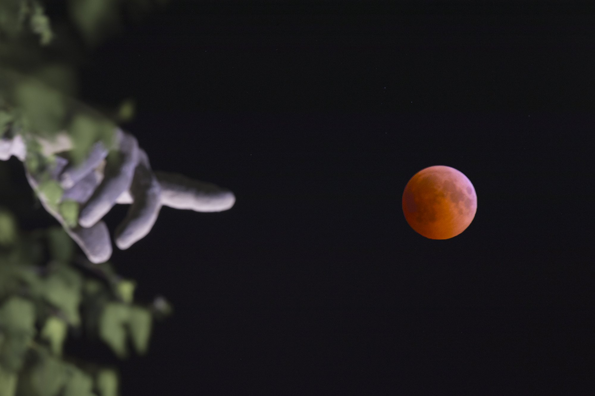 лунное затмение, lunar eclipse moon eclipse, затмение, Сергей Веснин